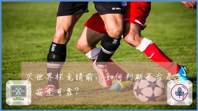 买世界杯竞猜前，如何判断平台是否安全可靠？
