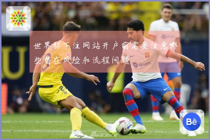 世界杯下注网站开户前需要注意哪些潜在风险和流程问题