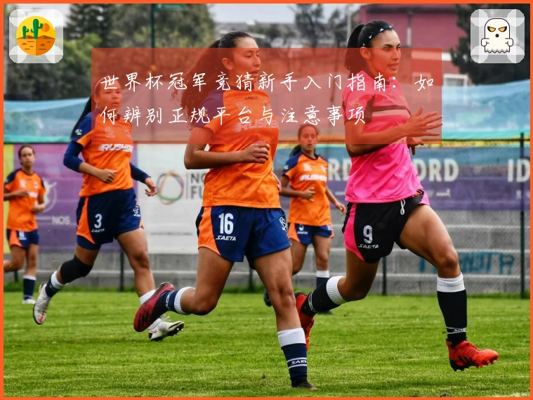 世界杯冠军竞猜新手入门指南：如何辨别正规平台与注意事项