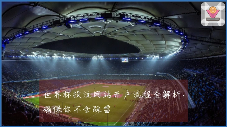 世界杯投注网站开户流程全解析，确保你不会踩雷