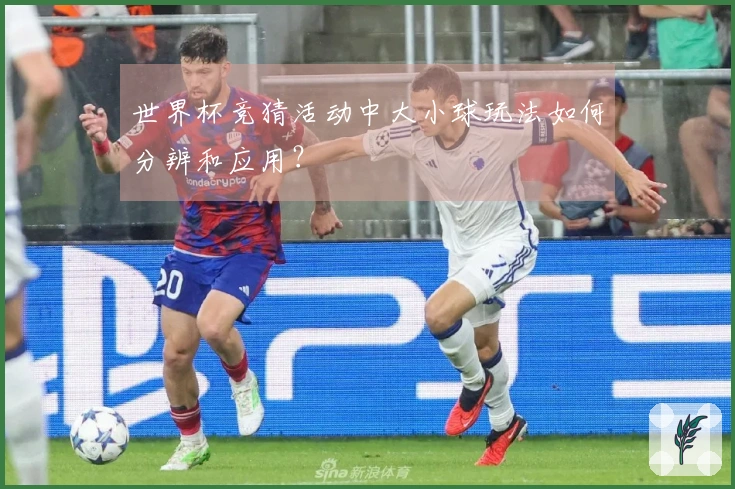 世界杯竞猜活动中大小球玩法如何分辨和应用？