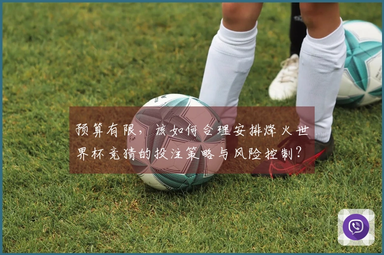 预算有限，该如何合理安排烽火世界杯竞猜的投注策略与风险控制？