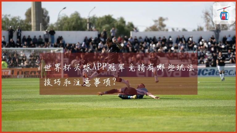 世界杯买球APP冠军竞猜有哪些玩法技巧和注意事项?