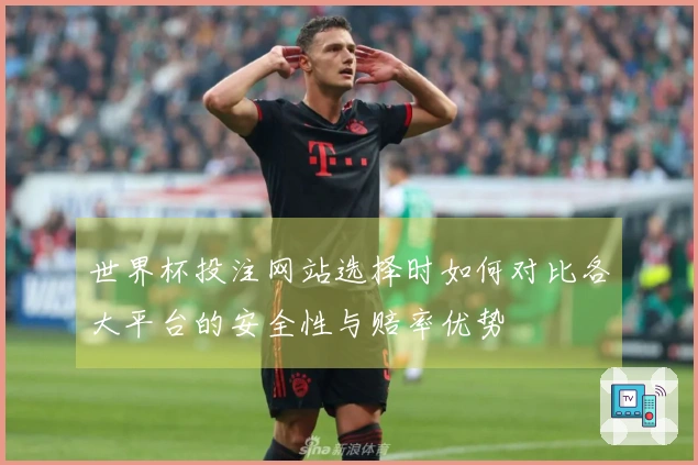 世界杯投注网站选择时如何对比各大平台的安全性与赔率优势