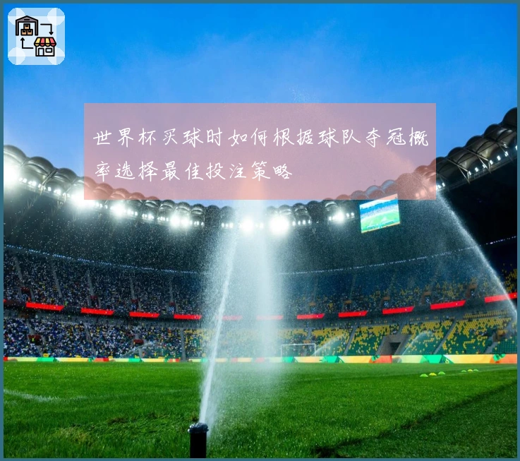 世界杯买球时如何根据球队夺冠概率选择最佳投注策略