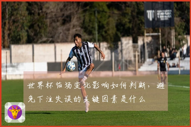 世界杯临场变化影响如何判断，避免下注失误的关键因素是什么
