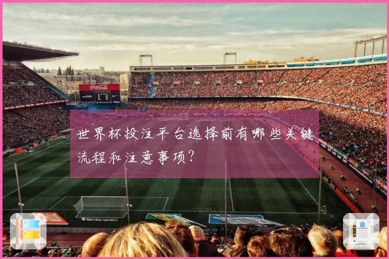 世界杯投注平台选择前有哪些关键流程和注意事项？