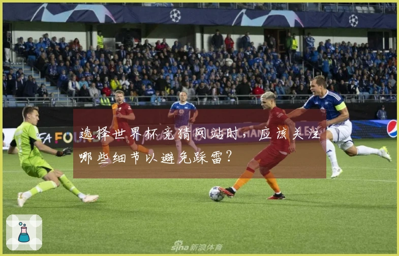 选择世界杯竞猜网站时，应该关注哪些细节以避免踩雷？