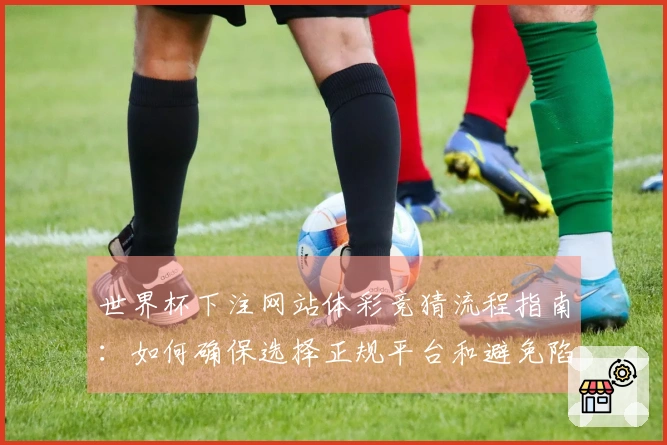 世界杯下注网站体彩竞猜流程指南：如何确保选择正规平台和避免陷阱