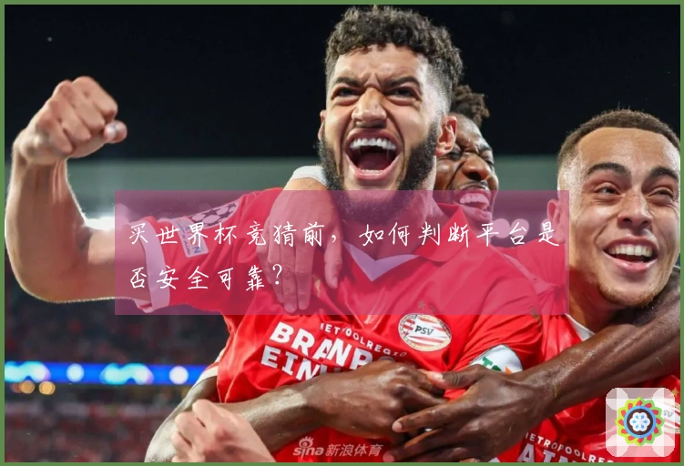 买世界杯竞猜前，如何判断平台是否安全可靠？