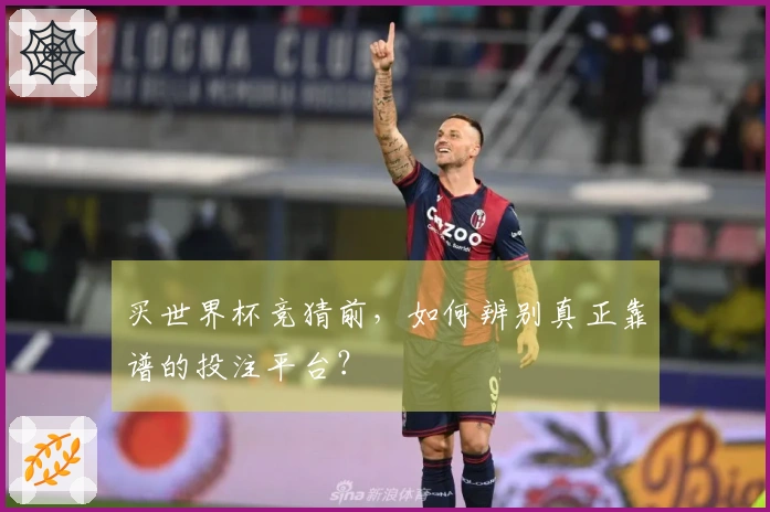 买世界杯竞猜前，如何辨别真正靠谱的投注平台？