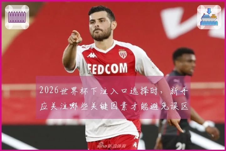 2026世界杯下注入口选择时，新手应关注哪些关键因素才能避免误区