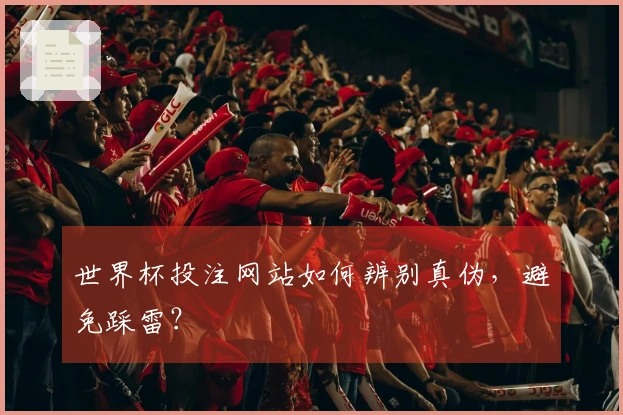 世界杯投注网站如何辨别真伪，避免踩雷？