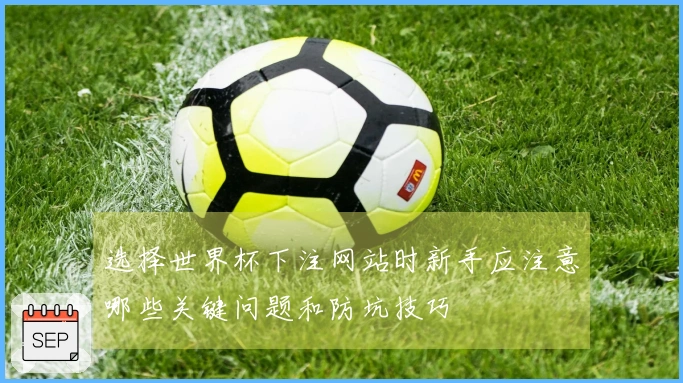 选择世界杯下注网站时新手应注意哪些关键问题和防坑技巧
