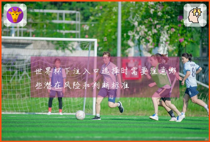 世界杯下注入口选择时需要注意哪些潜在风险和判断标准