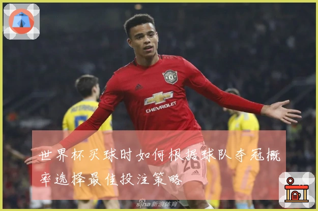 世界杯买球时如何根据球队夺冠概率选择最佳投注策略