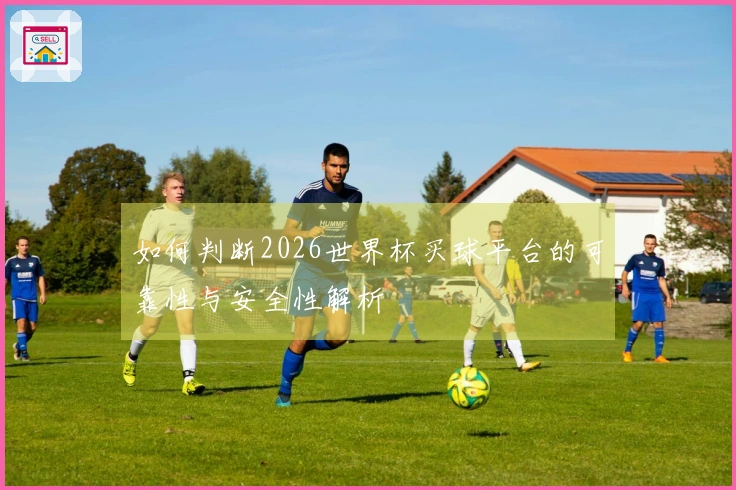 如何判断2026世界杯买球平台的可靠性与安全性解析