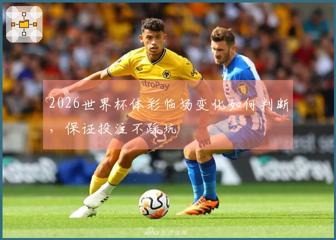 2026世界杯体彩临场变化如何判断，保证投注不踩坑