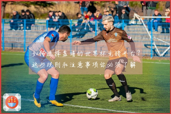如何选择靠谱的世界杯竞猜平台？这些规则和注意事项你必须了解