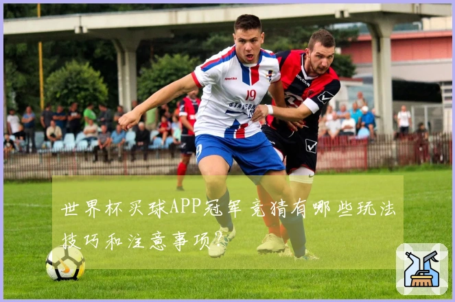 世界杯买球APP冠军竞猜有哪些玩法技巧和注意事项？