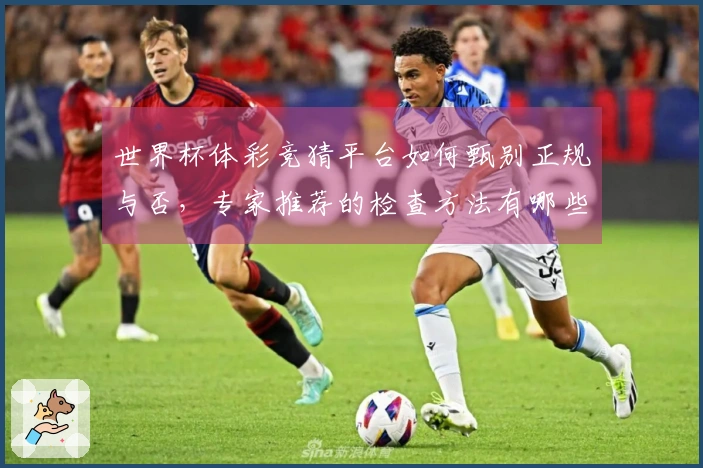 世界杯体彩竞猜平台如何甄别正规与否，专家推荐的检查方法有哪些？