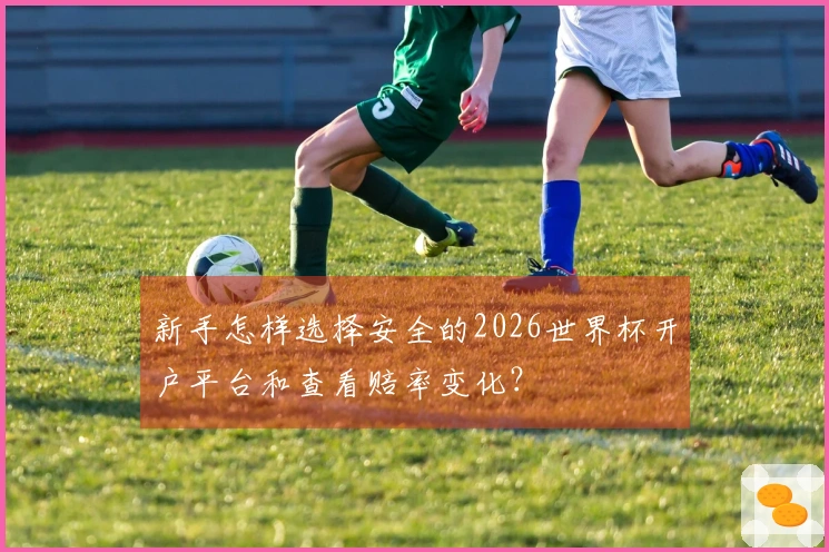 新手怎样选择安全的2026世界杯开户平台和查看赔率变化？