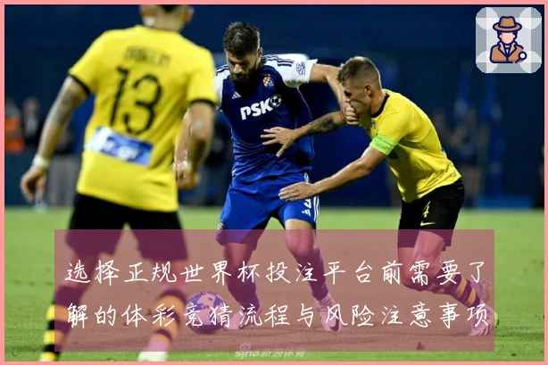 选择正规世界杯投注平台前需要了解的体彩竞猜流程与风险注意事项