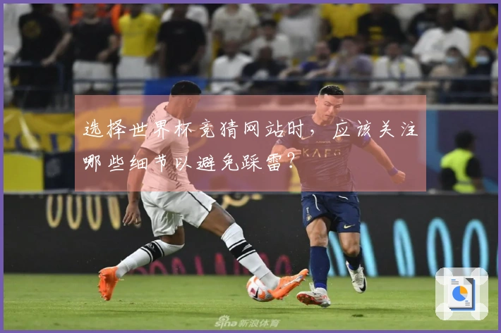 选择世界杯竞猜网站时，应该关注哪些细节以避免踩雷？