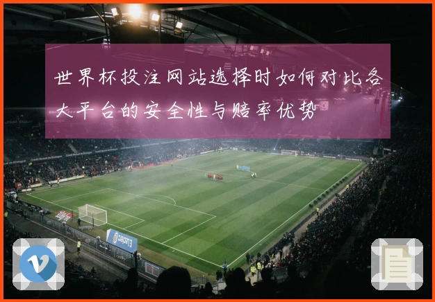 世界杯投注网站选择时如何对比各大平台的安全性与赔率优势