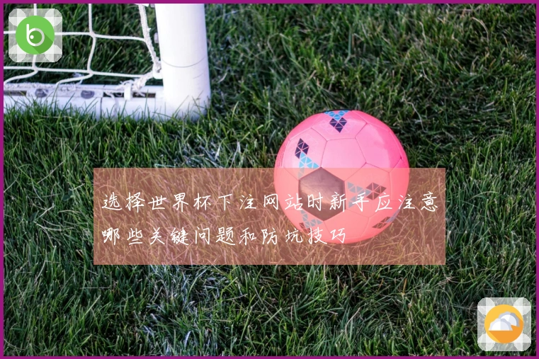 选择世界杯下注网站时新手应注意哪些关键问题和防坑技巧