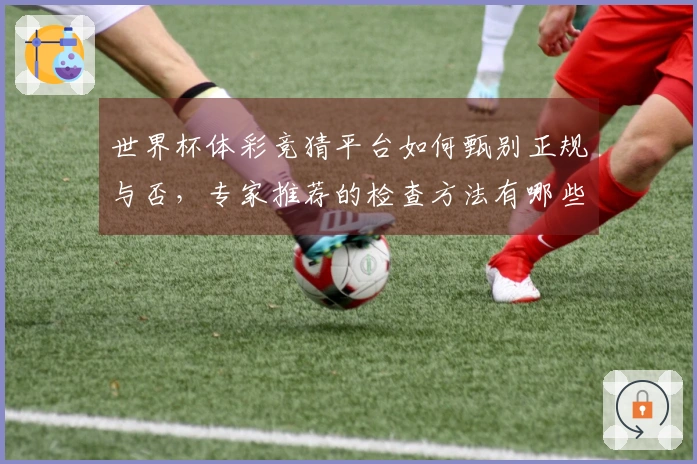 世界杯体彩竞猜平台如何甄别正规与否，专家推荐的检查方法有哪些？